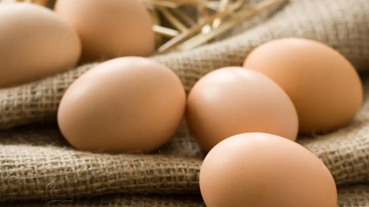 Foto: Copyright Shutterstock.com