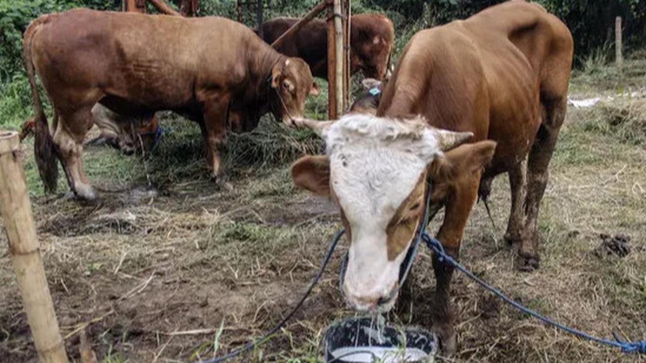 Top 3: Tanda yang Menunjukkan Anda Menua dengan Baik