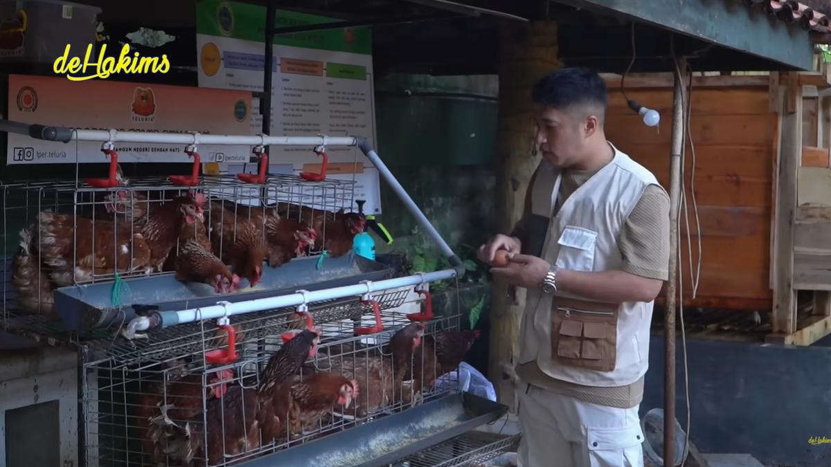 4 Potret Kandang Ayam dan Kambing di Rumah Irfan Hakim, Desain Praktis dan Bersih