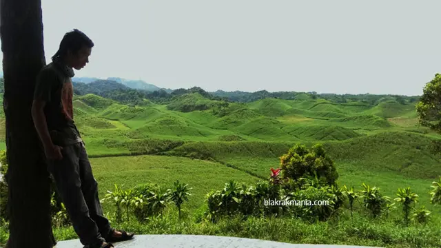 Bukit teletubis