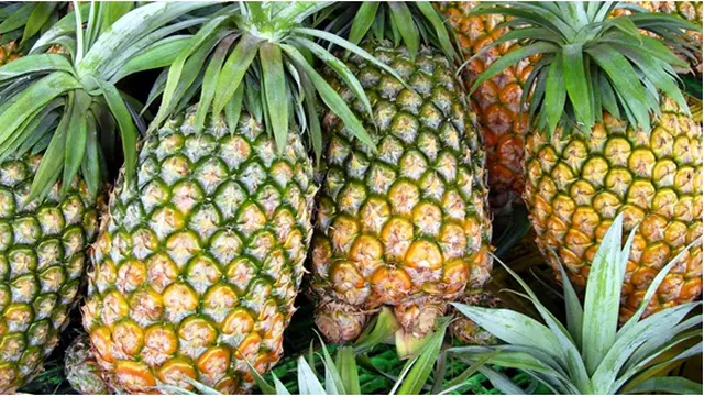 Courtesy ProduceBlog