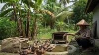 8 Ide Ternak Skala Kecil Cocok untuk Pensiunan, Peluang Usaha Produktif di Rumah