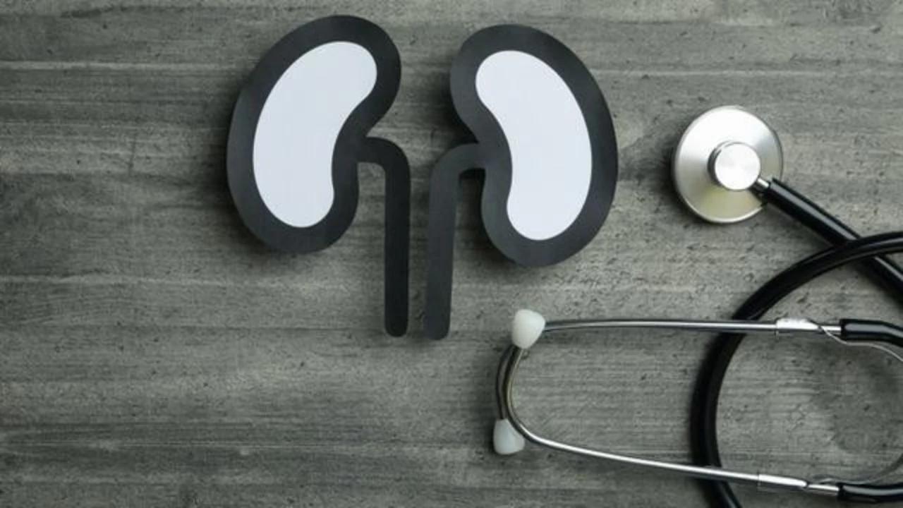 Kanker Ginjal Anak, Kenali Tumor Wilms dan Gejalanya yang Perlu Diwaspadai