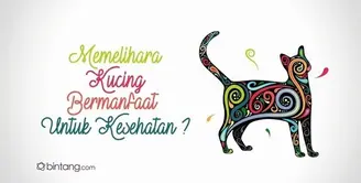 Apa Manfaat Memelihara Kucing untuk Kesehatan?