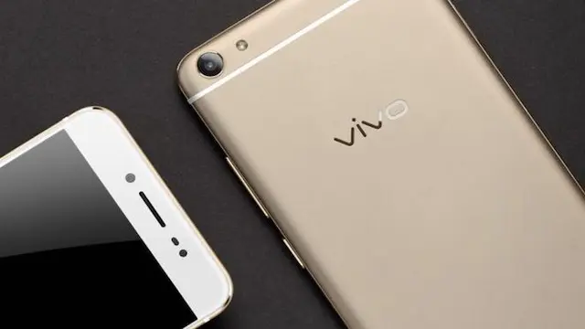 Vivo
