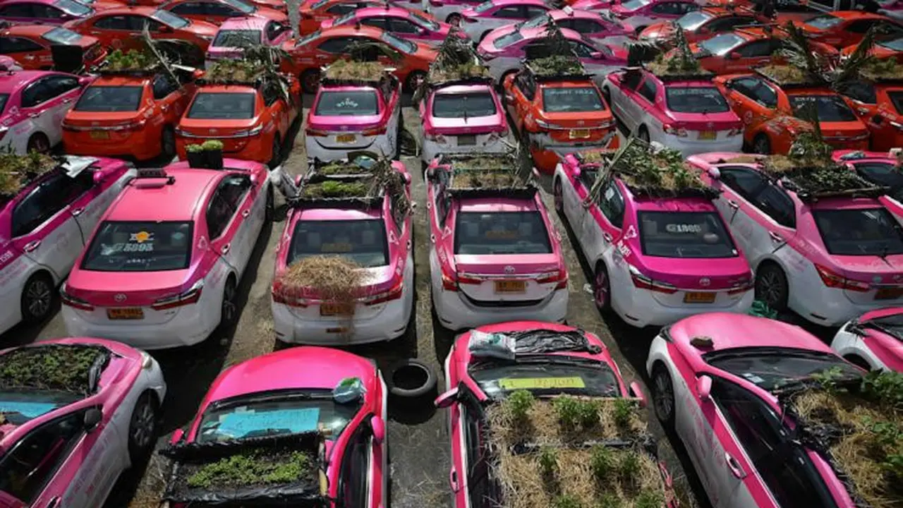 Perusahaan Taksi Ini Sulap Mobil yang Tidak Beroperasi Jadi Kebun Sayur (Autoblog)