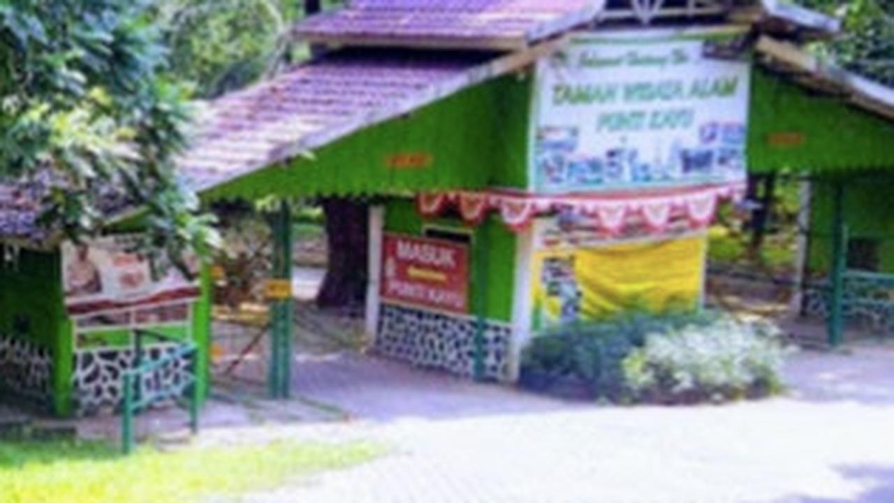 7. Taman Wisata Alam Punti Kayu<br>