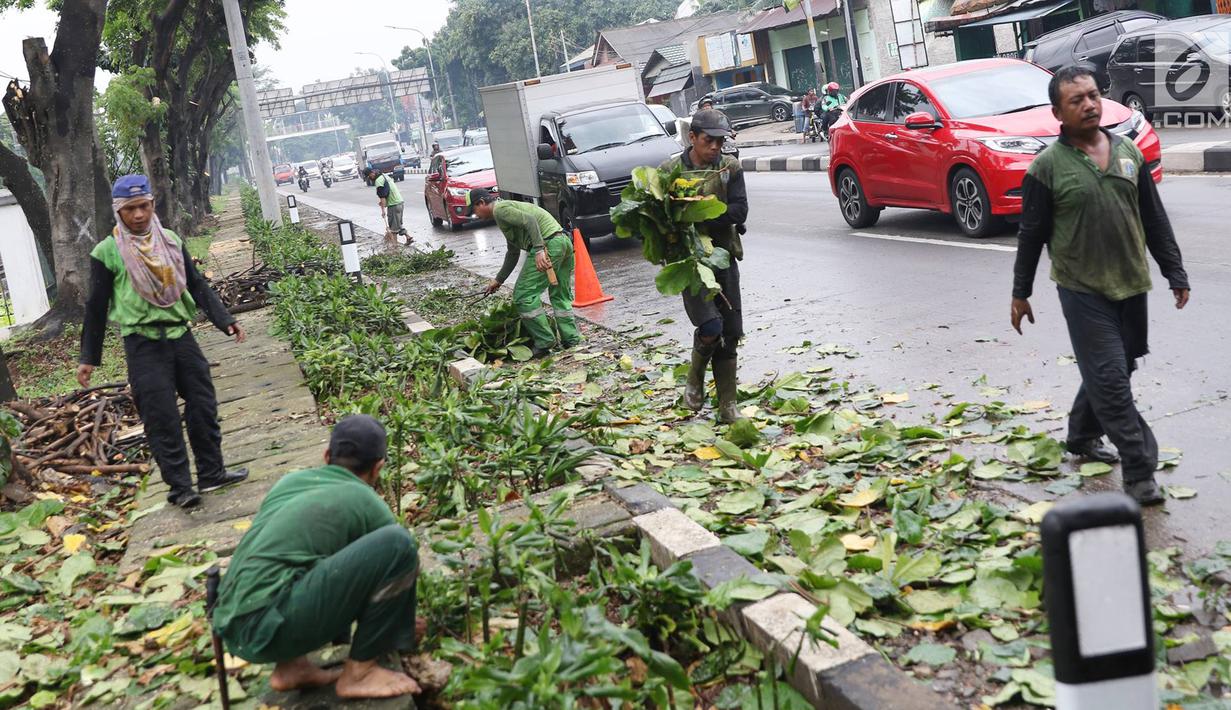 PHOTO Masuk Musim Hujan Pohon Di Tanjung Barat Dipangkas News