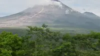 Semeru Kembali Erupsi Rabu 8 Desember, Kolom Abu Tebal Mengarah ke Utara