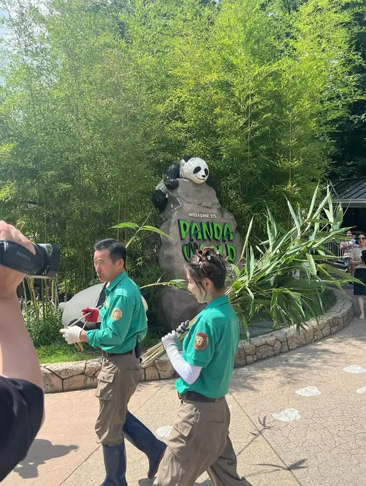 BoA mengungkapkan kegembiraannya, berterima kasih kepada Fu Bao karena telah menikmati bambu yang telah dia siapkan. "Fu Bao kami menikmati karangan bunga dan bambu yang saya siapkan. Terima kasih juga Kakek Kang Bao." (Foto: Instagram/ boakwon)
