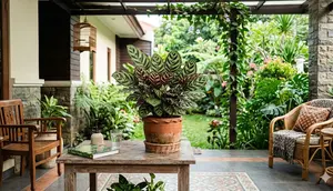 10 Cara Merawat Calathea agar Daunnya Tidak Menguning dan Tidak Mudah Kering