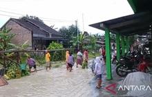 Banjir Grobogan Meluas: Ribuan Keluarga Terdampak dan Sejumlah Tanggul Jebol