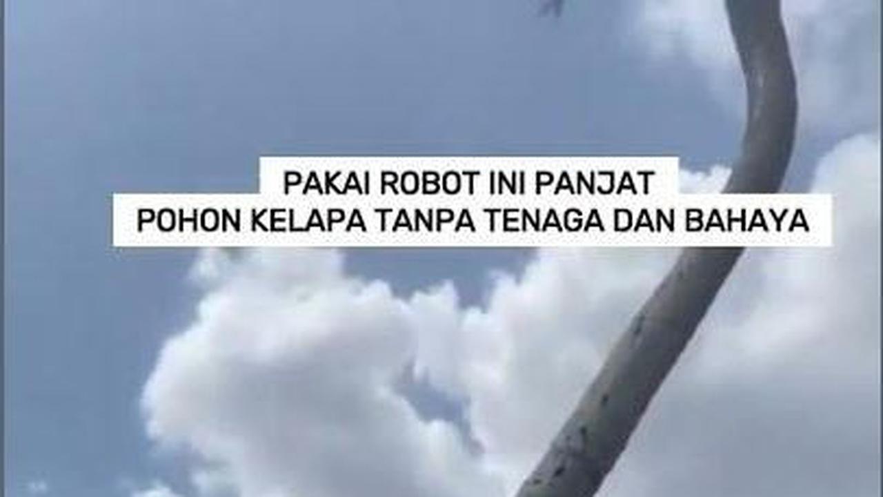 VIDEO: Pakai Robot Ini Panjat Pohon Kelapa Tanpa Tenaga dan Bahaya