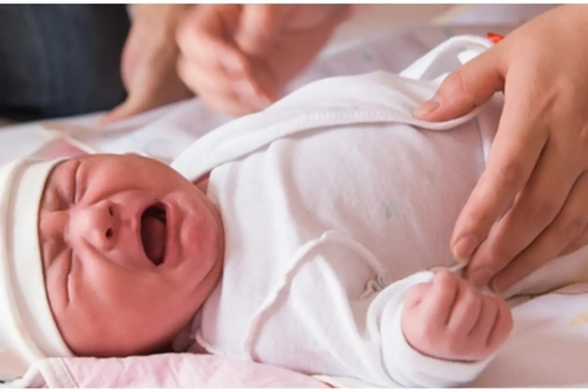 Foto: copyright shutterstock.com