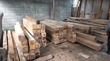 Barang bukti kayu yang diduga hasil ilegal loging diamankan Pohutmob KPH Banyuwangi Selatan. (Istimewa)