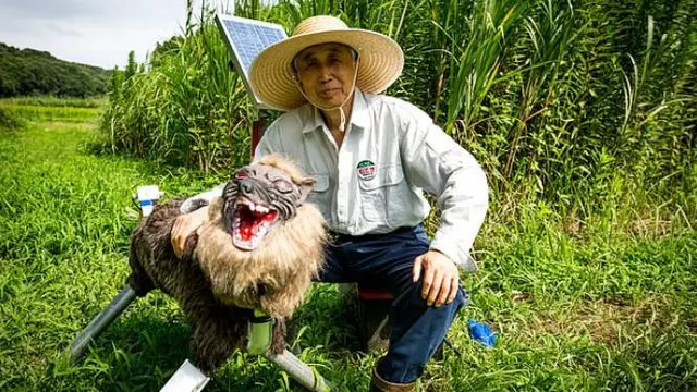 Robot Serigala. Dok: Getty Images