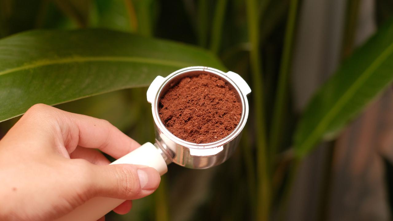 11 Tanaman yang Bisa Tumbuh Subur dengan Ampas Kopi, Bikin Tanaman Makin Rimbun dan Sehat