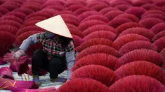 Wanita Vietnam  mengeringkan kulit bambu untuk membuat batang dupa di halaman, desa Quang Phu Cau di pinggiran Hanoi, 3 Januari 2019. Desa itu telah terkenal karena tiap keluarga bekerja sebagai pembuat dupa selama lebih dari seabad (Manan VATSYAYANA/AFP)