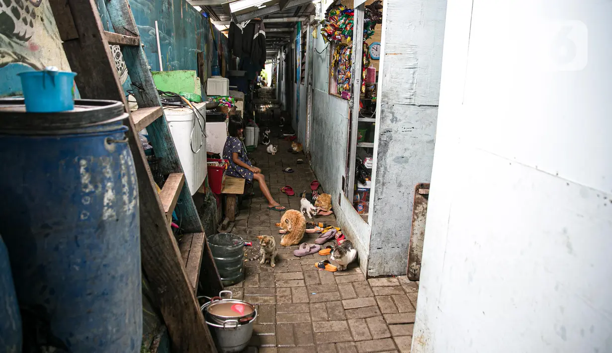Warga beraktivitas di kawasan Kampung Akuarium, Jakarta, Selasa (17/2/2021). Badan Pusat Statistik (BPS) mengungkapkan jumlah penduduk miskin Indonesia pada September 2020 mencapai 27,55 juta orang, meningkat 2,76 juta dibandingkan posisi September 2019. (Liputan6.com/Faizal Fanani)