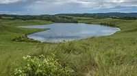 Danau Love di Sentani, Kabupaten Jayapura. (Liputan6.com / Tarsi Acex)