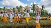 Para wanita yang mengenakan pakaian adat menjunjung sesajen di atas kepala mereka dalam ritual Hindu Bali bernama Usaba Sri di Karangasem, Bali, Senin, 10 Agustus 2026. (Foto AP/Firdia Lisnawati)