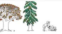 Google Doodle Juga Ajak Penyandang Disabilitas Menanam Pohon di Hari Bumi 2021