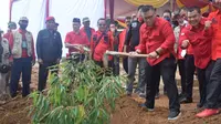 Ketua DPD PDIP Sumsel M Giri Ramandha N Kiemas saat melakukan penanaman bibit pohon di Kota Palembang Sumsel (Dok. Humas PDIP Sumsel / Nefri Inge)