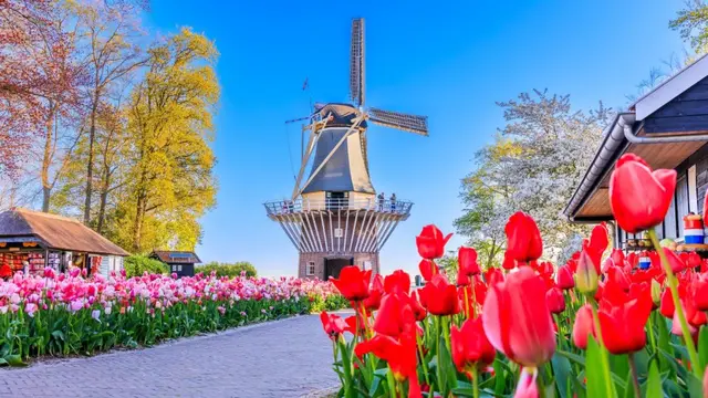 Festival Keukenhof