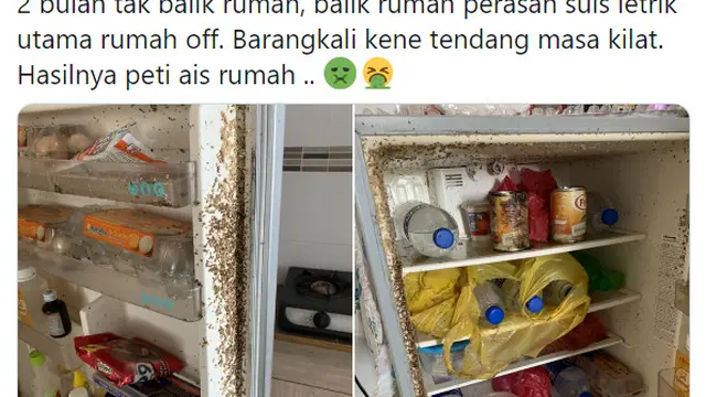 Ditinggal Pulang Kampung Saat Lockdown, Kulkas Pemuda Ini Jadi Penuh Belatung