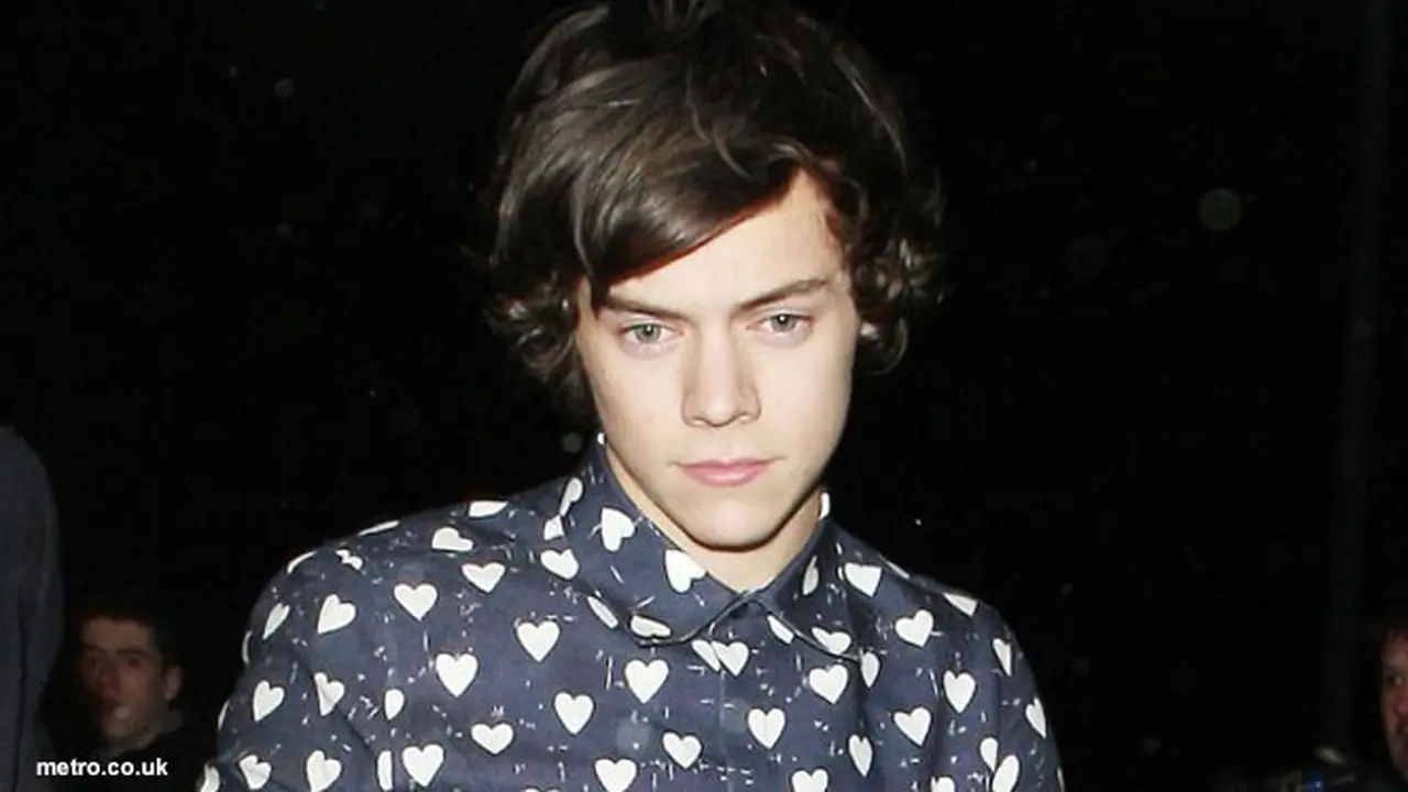 harry-style-one-direction-130801b.jpg