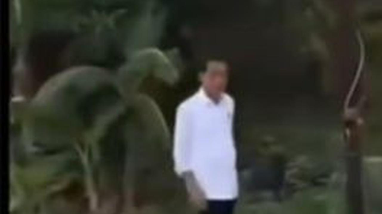 VIDEO: Ban Mobil RI 1 Bocor, Paspampres Auto Sibuk, Presiden Jokowi Tunggu di Pinggir Jalan
