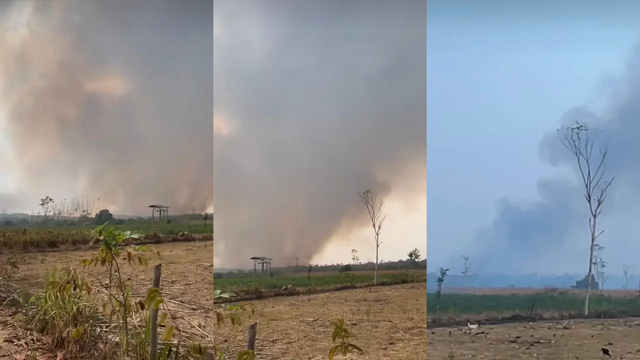 Kebakaran TNWK Lampung Meluas, Warga Waswas Gajah Keluar Hutan hingga Rusak Sawah