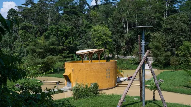 Orangutan Haven