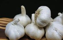 6 Bahan Alami yang Efektif Menyembuhkan Luka, Bisa Menghilangkan Bekasnya