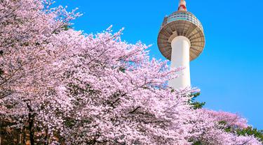 Namsan Seoul Tower