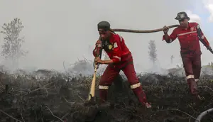 Update Hotspot kebakaran Hutan, Kalteng Tertinggi