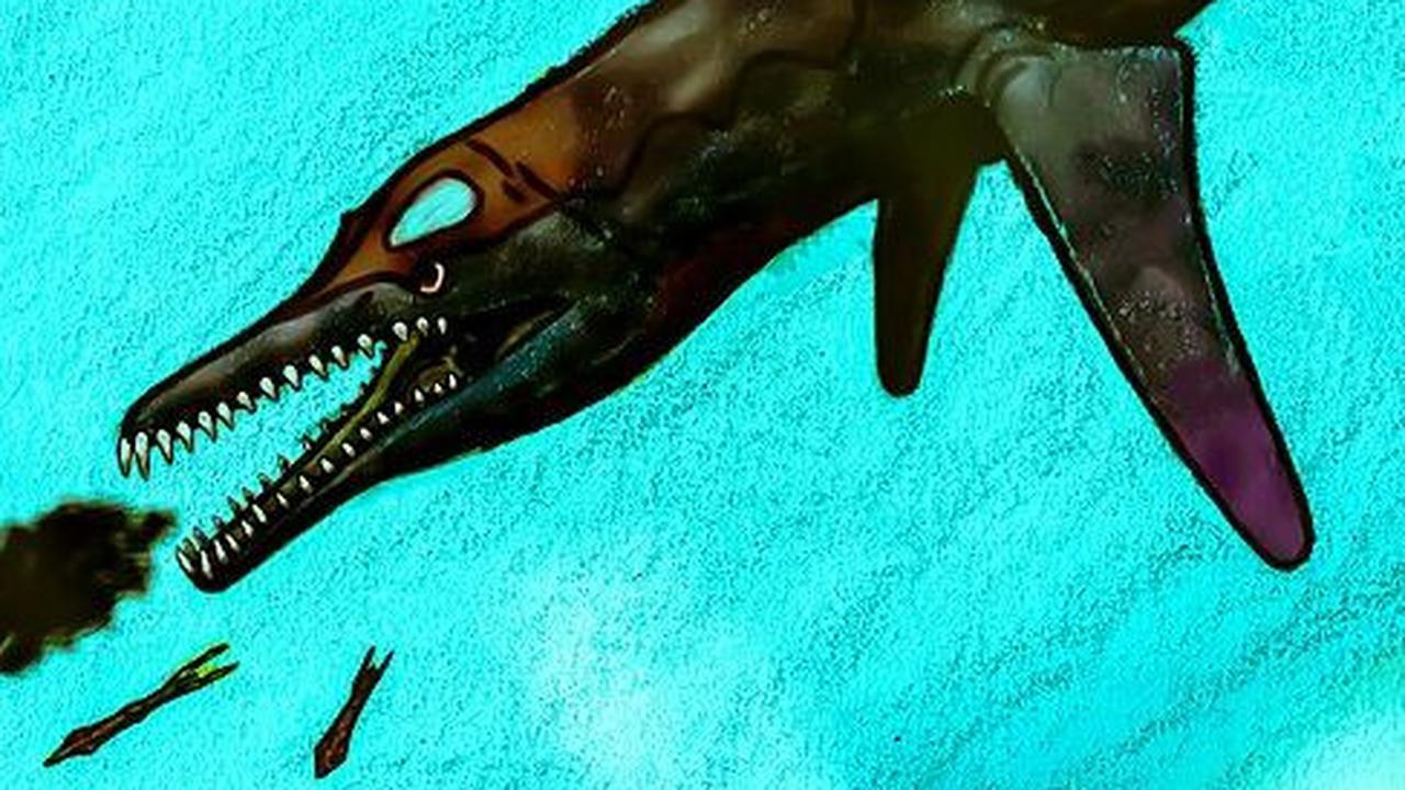 4. Unktaheela Specta Ternyata Memiliki Ukuran Kecil<br>