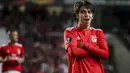 1. Joao Felix (Benfica) – Penyerang berusia 19 tahun ini banyak diminati klub-klub besar Eropa. Pemain muda asal Portugal ini digadang-gadang sebagai penerus Cristiano Ronaldo. (AFP/Carlos Costa)