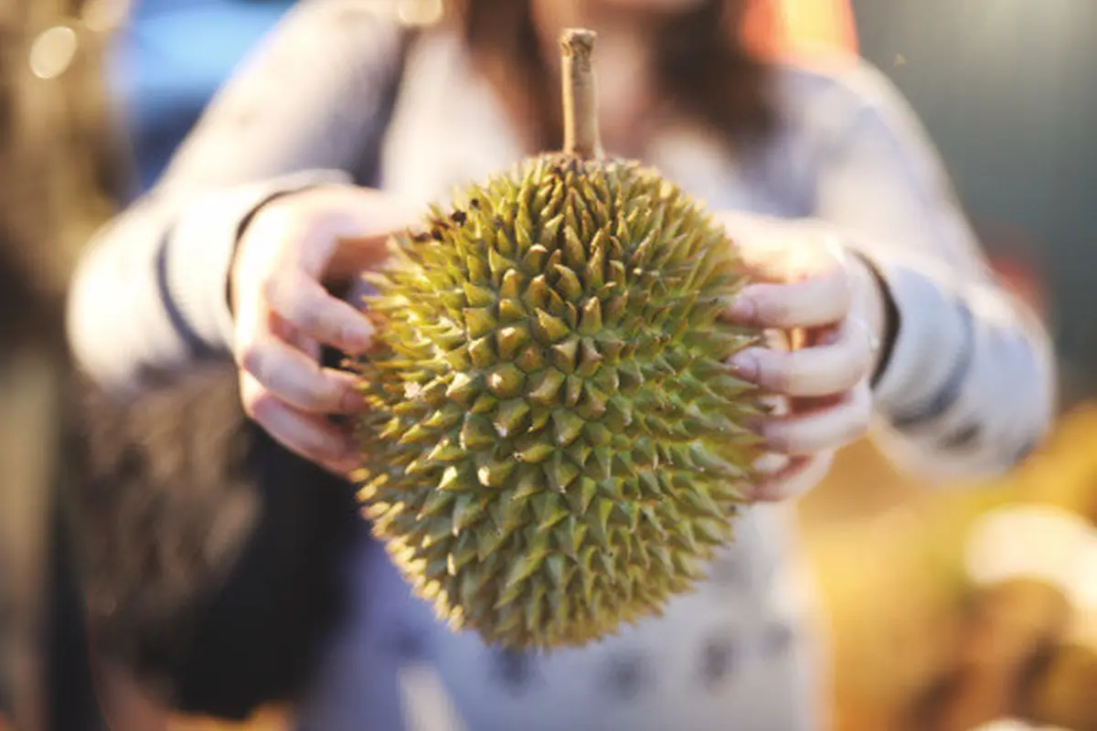 Fakta & Mitos Durian dengan Kesehatan