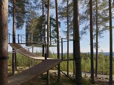 Mirrorcube adalah salah satu dari lima rancangan kamar diatas pohon milik Treehotel di Swedia. Fasilitas yang ditawarkan adalah kamar yang seakan transparan dan menyembunyikan keberadaanya dengan alam serta tergantung di pohon. (avocadogarden.com)