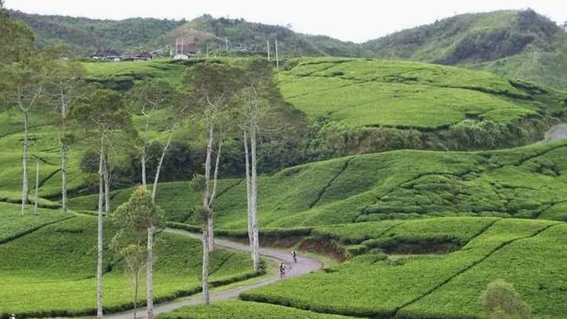 Jalan Tol Trans Jawa Permudah Akses ke Ratusan Destinasi Cantik, Sudah Siap Road Trip?   