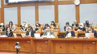 Rapat Dengar Pendapat (RDP) antara Komisi X DPR RI dan Perpusnas, di Jakarta, pada Rabu (11/1/2022). (Liputan6.com/ Ist)