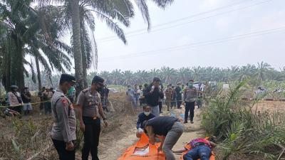Polisi Ungkap Identitas Jasad Perempuan di Kebun Sawit Mesuji