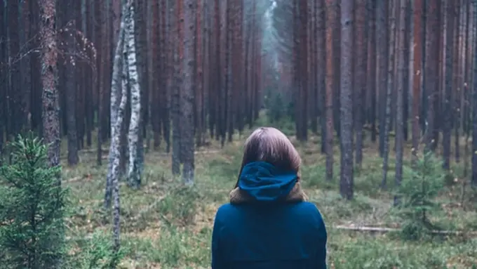 Foto: copyright pexels.com