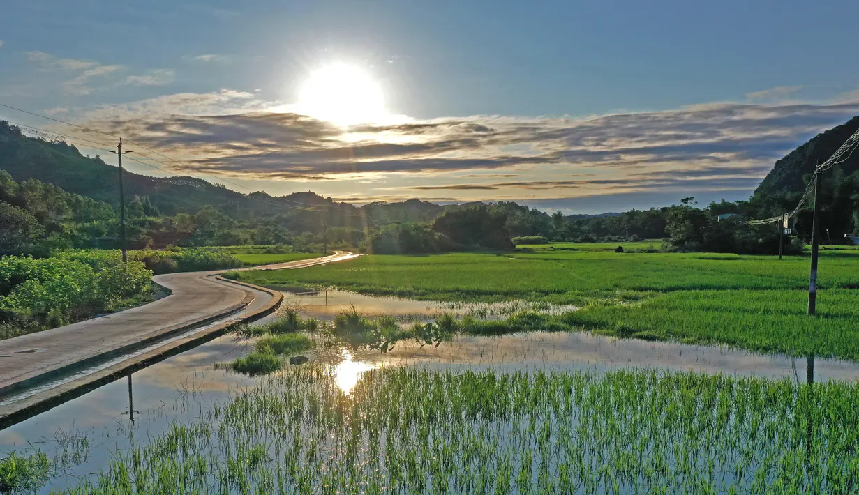 Foto dari udara menunjukkan pemandangan ladang di Desa Chonglou, Wilayah Otonom Etnis Maonan Huanjiang, Daerah Otonom Etnis Zhuang, Guangxi, China, 25 Mei 2020. Ada puluhan suku minoritas yang diakui oleh China bermukim di daerah ini. (Xinhua/Zhou Hua)