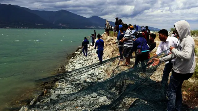 Buaya berkalung ban