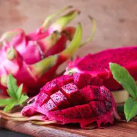 ilustrasi manfaat buah naga/Myrosha/shutterstock