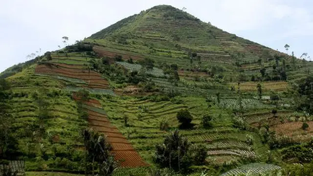 Benarkah Gunung Padang Piramida Tersembunyi?