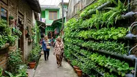 10 Ide Hidroponik Sayur Mini di Rak Vertikal Lorong Gang, Ubah Jadi Kebun Estetik