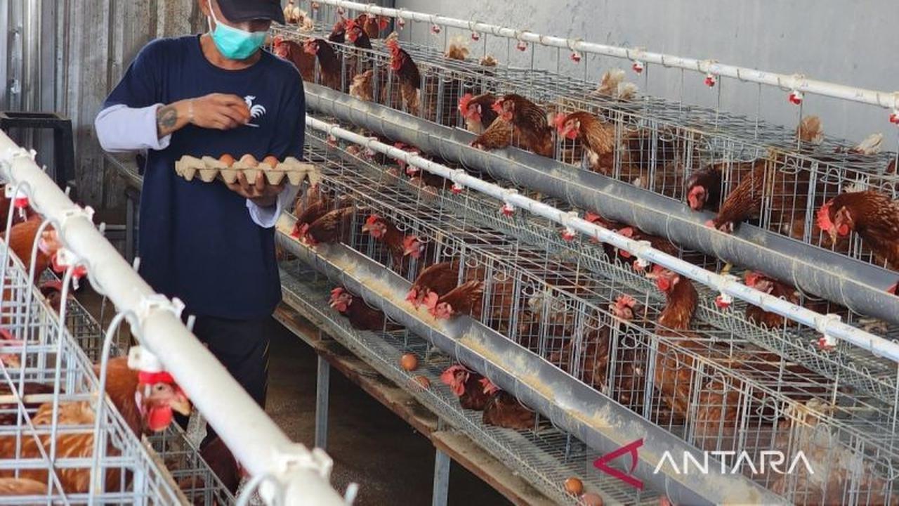 Program Ketahanan Pangan Lapas Semarang Penuhi Sebagian Kebutuhan Dapur dan Bekali Warga Binaan